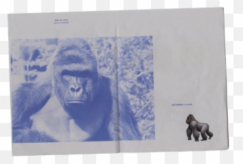 Art Imitates Life - Gorilla Dicks Emoji,Harambe Emoji