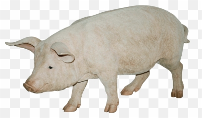 Download Pig Png Image Hq Png Image - Pig Animal Pictures Png Emoji,Pig Knife Emoji