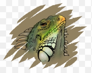 Freelance Illustrator - Green Iguana Emoji,Iguana Emoji