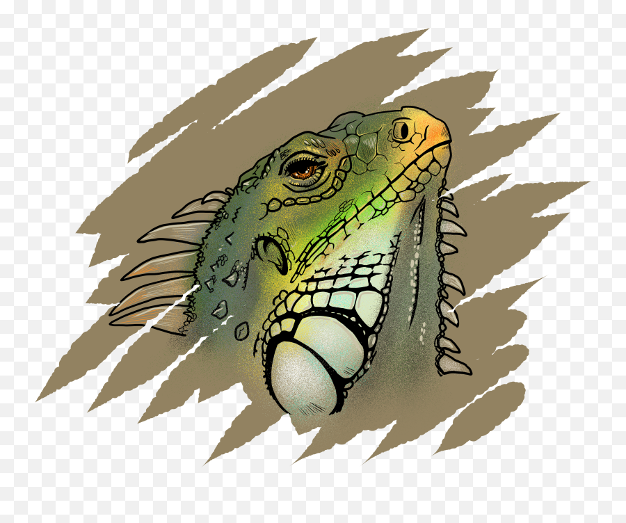 Freelance Illustrator - Green Iguana Emoji,Iguana Emoji