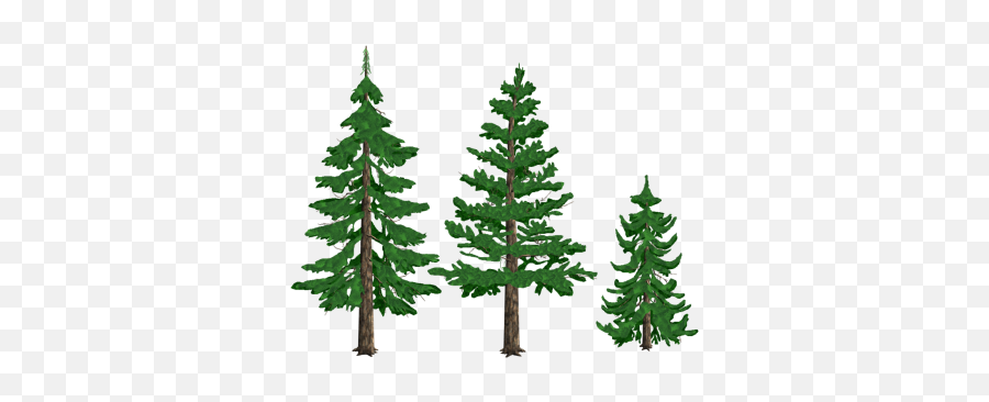 Pine Tree Transparent Png Clipart Free Download - Transparent Pine Tree Clipart Emoji,Pine Tree Emoji