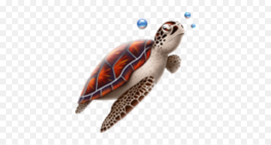 Free Turtle Psd Vector Graphic - Vectorhqcom Marine Turtle Vector Png Emoji,Sea Turtle Emoji