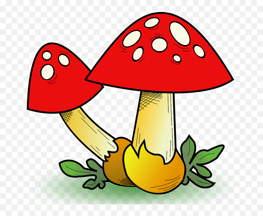 Fun Facts - Clipart Of Mushroom Emoji,Mushroom Star Two Guys Emoji