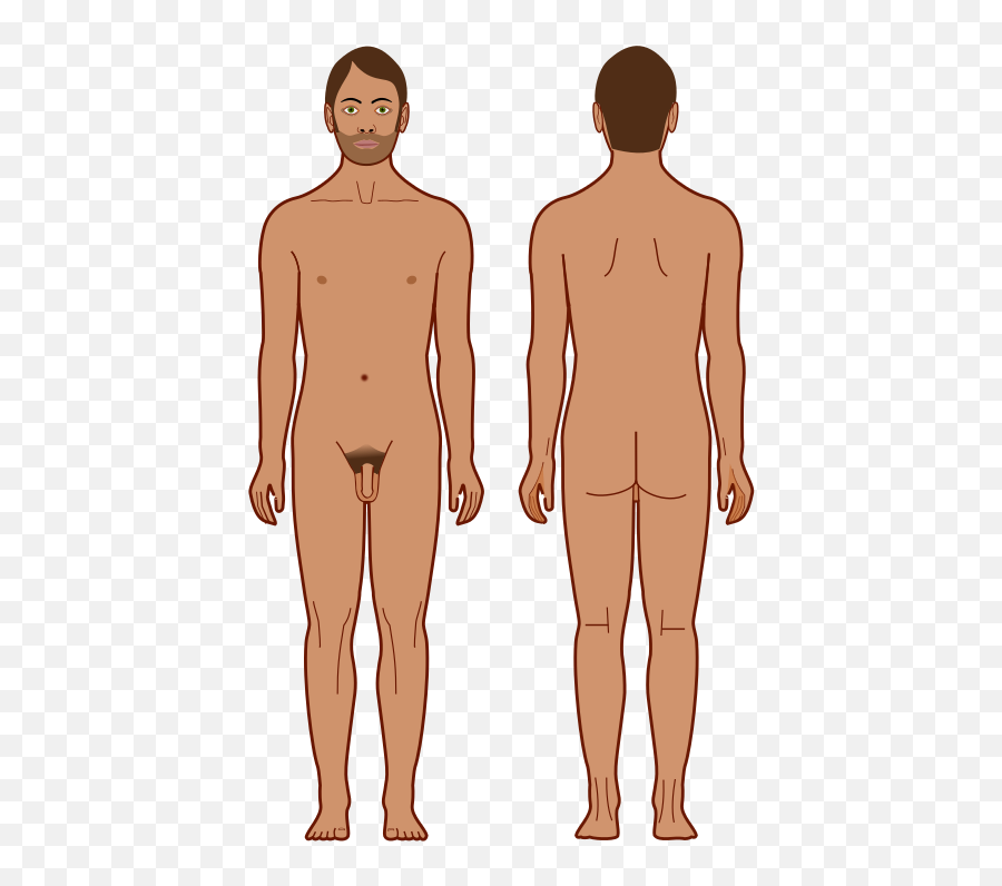 Surface Diagram Ahead - Body Parts Of Men Emoji,Naked Man Emoji