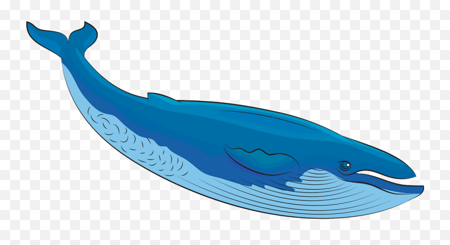 Blue Whale Clipart Png - Blue Whale Clipart Emoji,Whale Emoticon