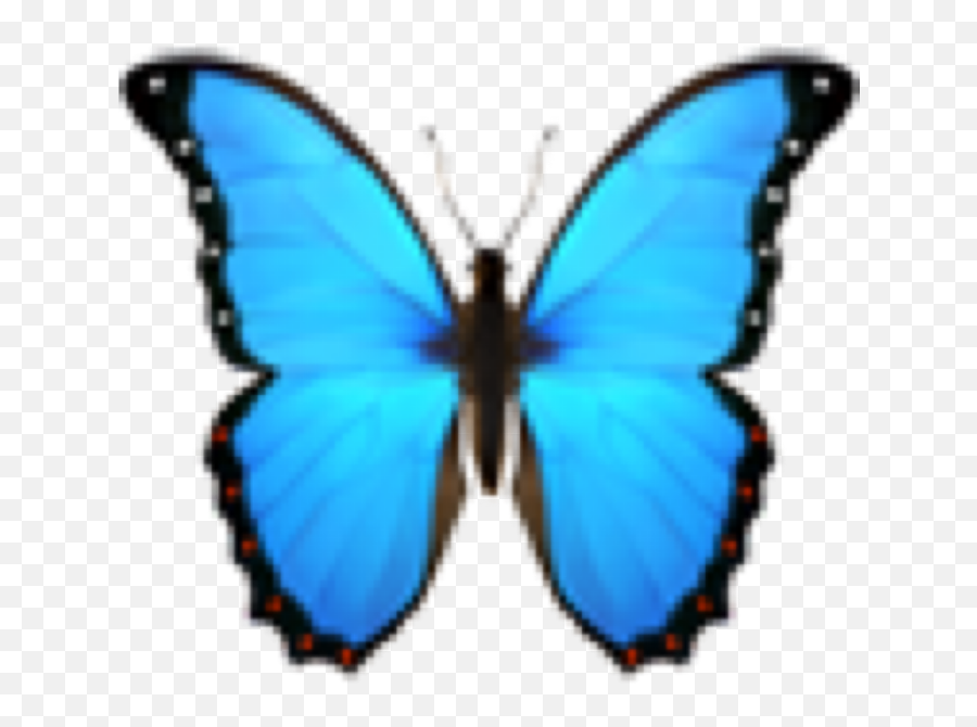 Blue Butterfly Insect Emoji Cute Emojis Leaf Tumblr Aes - Apple Emoji Schmetterling,Blue Butterfly Emoji