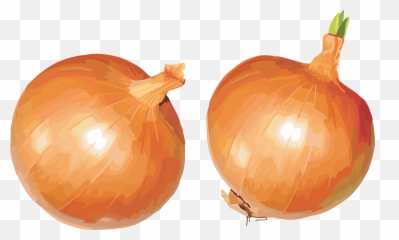 Free Onions Cliparts Download Free Clip Art Free Clip Art - Onions Clipart Emoji,Onion Emoji