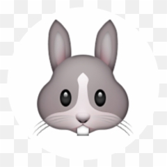 Emoji - Rabbit