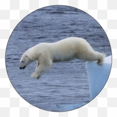 Polar Bear Plunge Logo Medal - Jumping Png Emoji