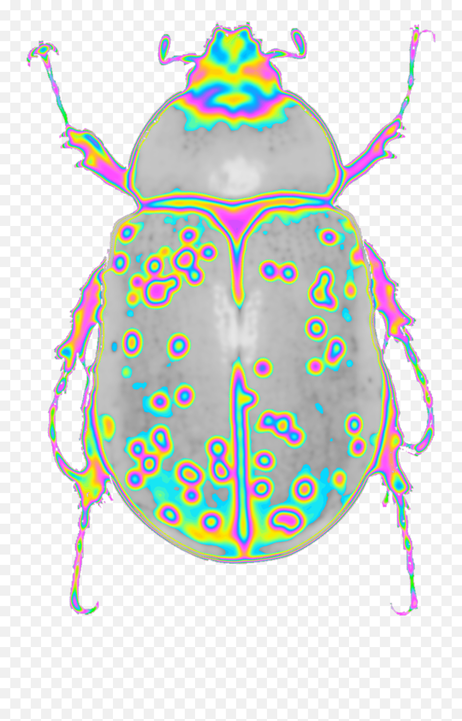 Beetle Scarab Holo Holographic Dinah Dinaaaaaah Freetoe - Rhinoceros Beetle Emoji,Beetle Emoji