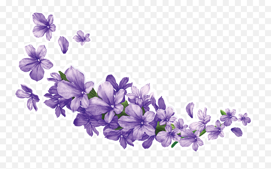 Lavender Flower Clipart Png - Lavender Flower Clipart Png Emoji,Violet Flower Emoji