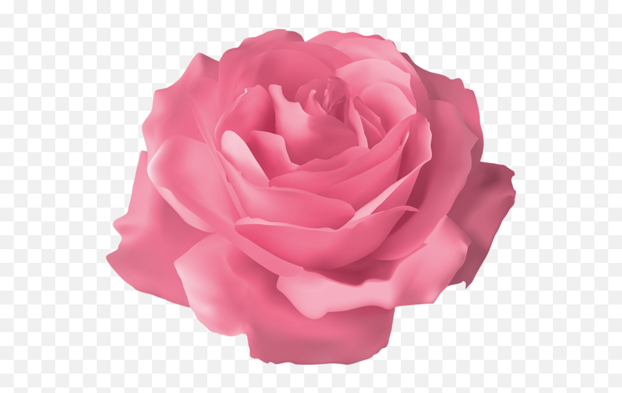 Flower Flowers Rose Pink Pinkrose Sticker By Picsart - Pink Rose Picsart Emoji,Pink Rose Emoji