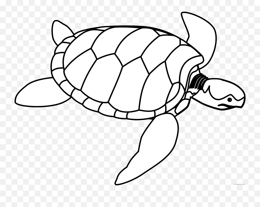 Turtle Outline Coloring Pages Turtle Line Art Valessiobrito - Outline Images Of Turtle Emoji,Sea Turtle Emoji