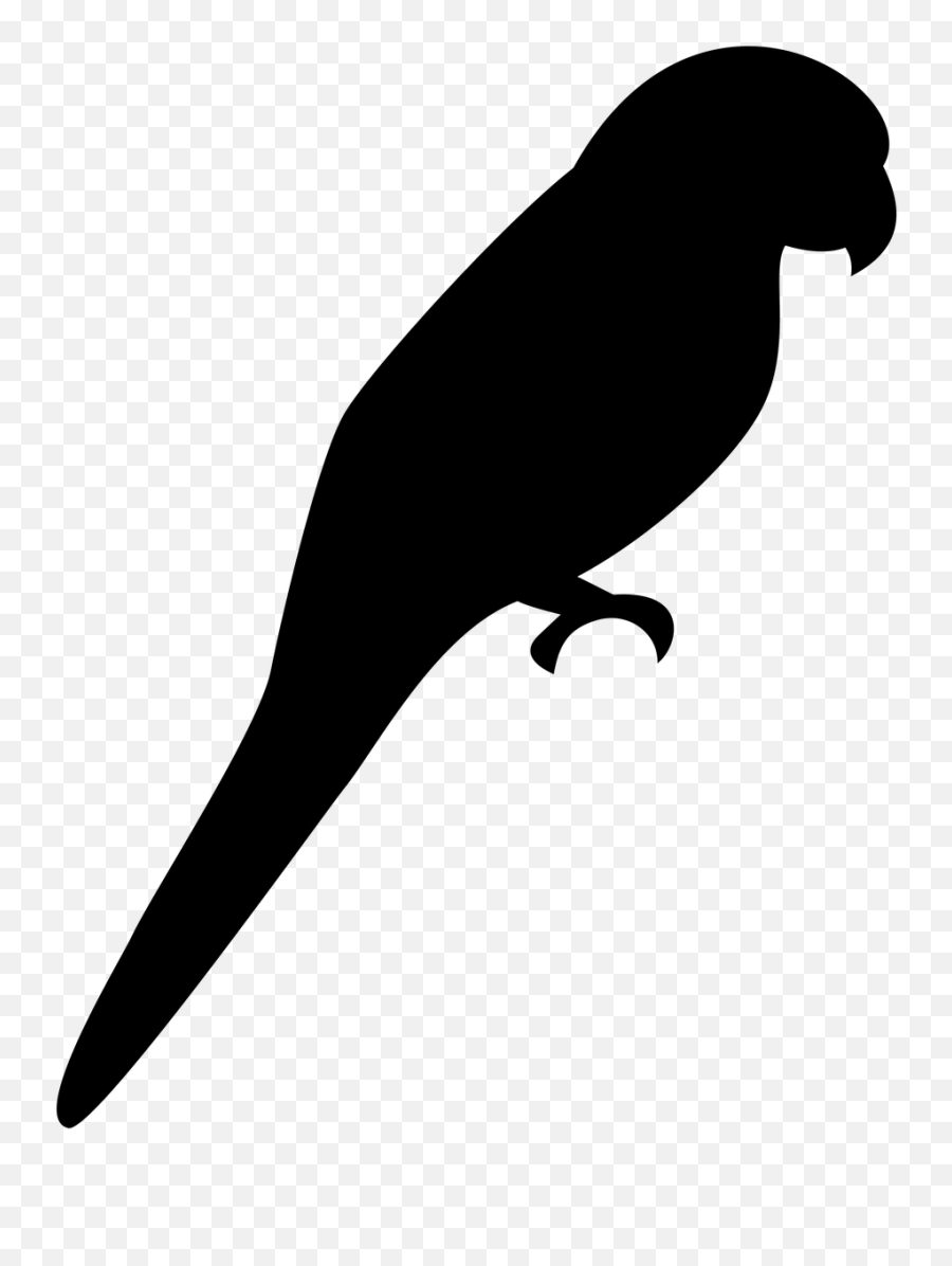 Island Silhouette Bird Parrot Canary Islands Cana - Parrot Silhouette Png Emoji,Parrot Emoji