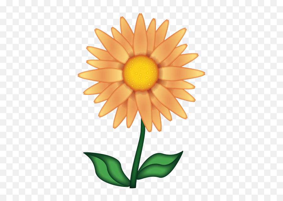 Emoji - Papatya Emojisi,Orange Flower Emoji