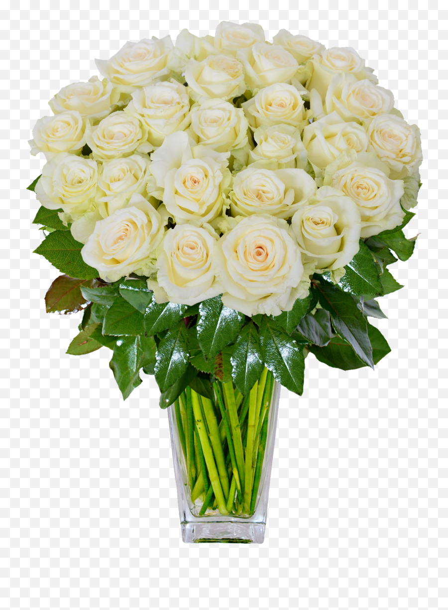 White Roses Png Background Image - Green Roses In Vase Emoji,Rose Emoji Png