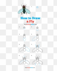 How To Draw A Fly - Really Easy Drawing Tutorial Draw A Paper Airplane Easy Emoji,Fly The W Emoji