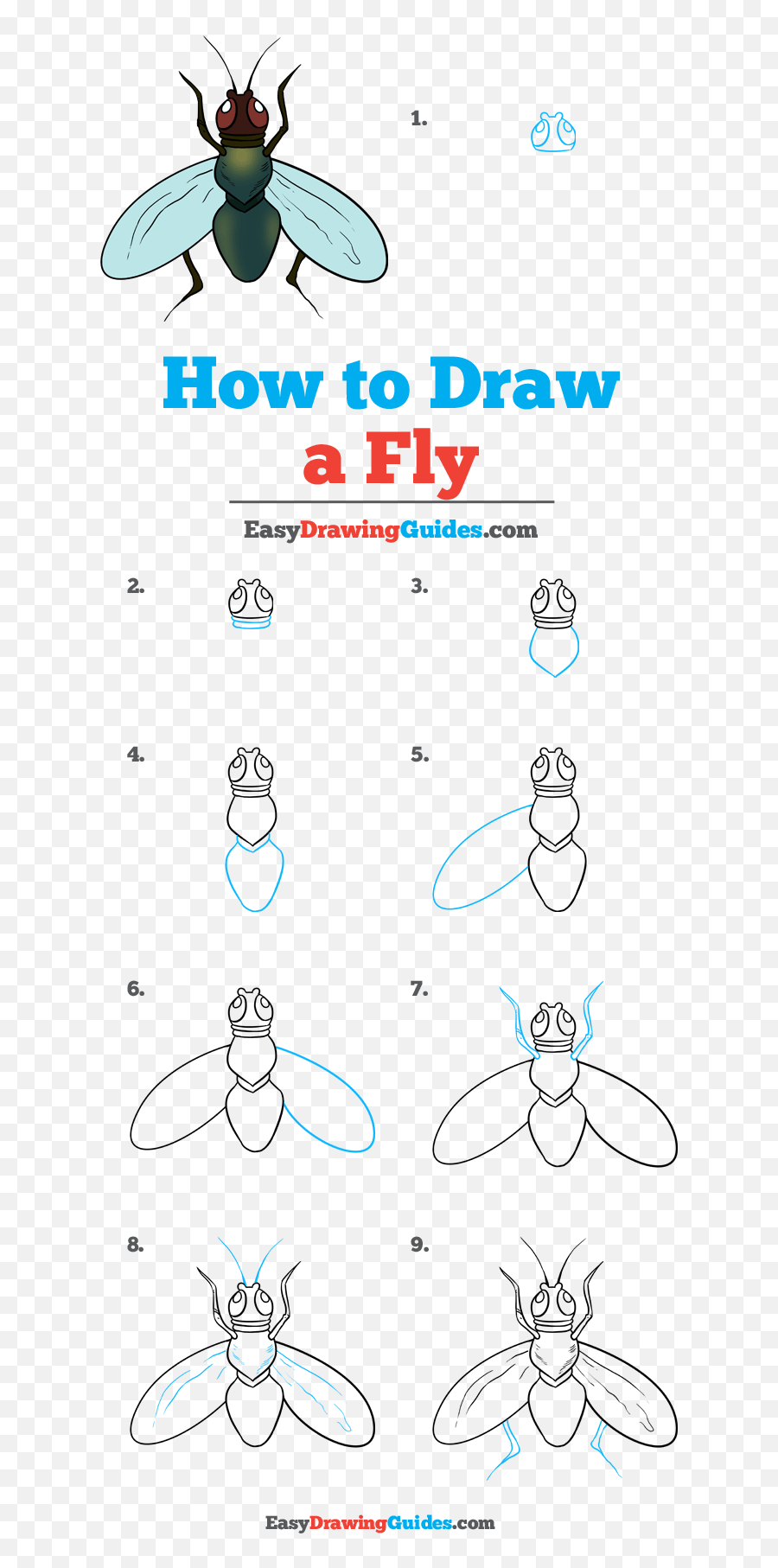 How To Draw A Fly - Really Easy Drawing Tutorial Draw A Paper Airplane Easy Emoji,Fly The W Emoji