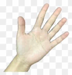 freetoedit remixit hand tan stop grab hold body human - Gesture Emoji
