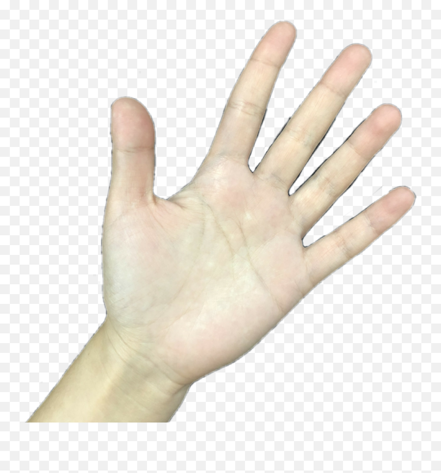 Freetoedit Remixit Hand Tan Stop Grab Hold Body Human - Gesture Emoji,Stop Hand Emoji
