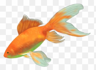 Pez Fish Peces Sticker - Gambar Ikan Hias Png Emoji,Emoji Pez