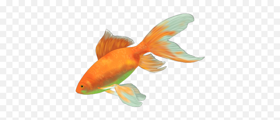 Pez Fish Peces Sticker - Gambar Ikan Hias Png Emoji,Emoji Pez
