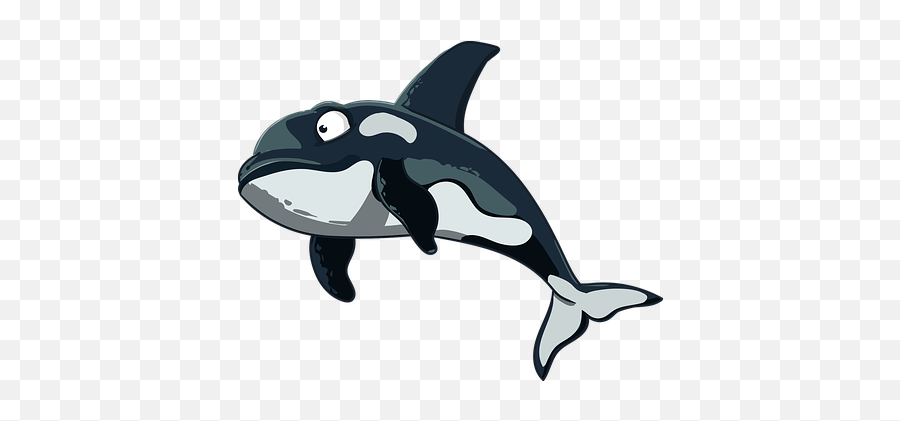 70 Free Dolphin U0026 Mammal Vectors - Pixabay Sea Whale Animal Clipart Emoji,Whale Emoticons