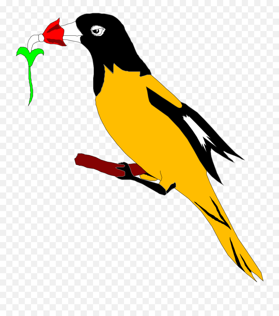 Oriole With Flower Png Svg Clip Art - Logo Emoji,Oriole Emoji