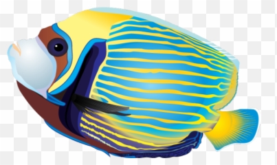 Tropical Fish - Clipart Emoji