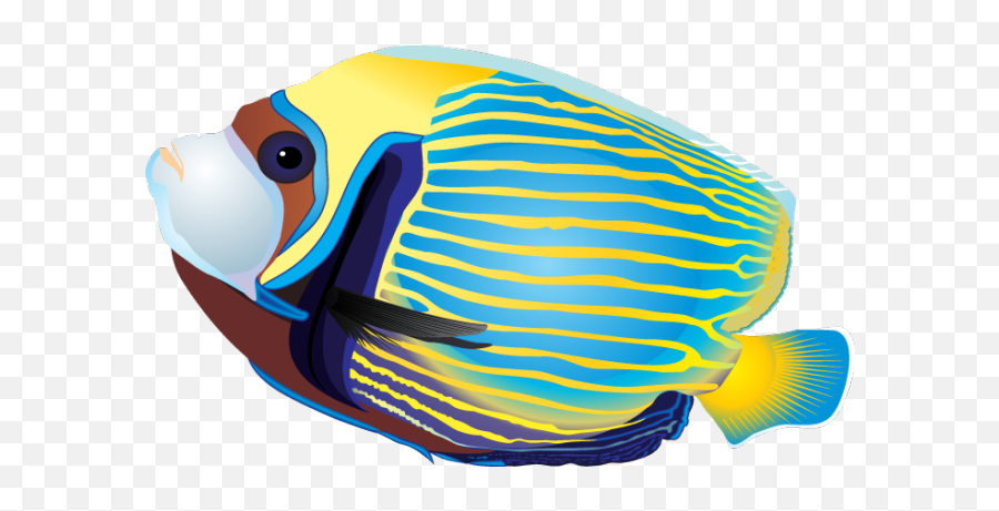 Tropical Fish - Tropical Fish Clipart Emoji,Tropical Fish Emoji