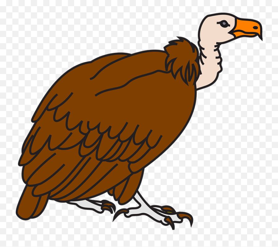 Vulture Brown Big - Vulture Black And White Emoji,Big Fire Emoji