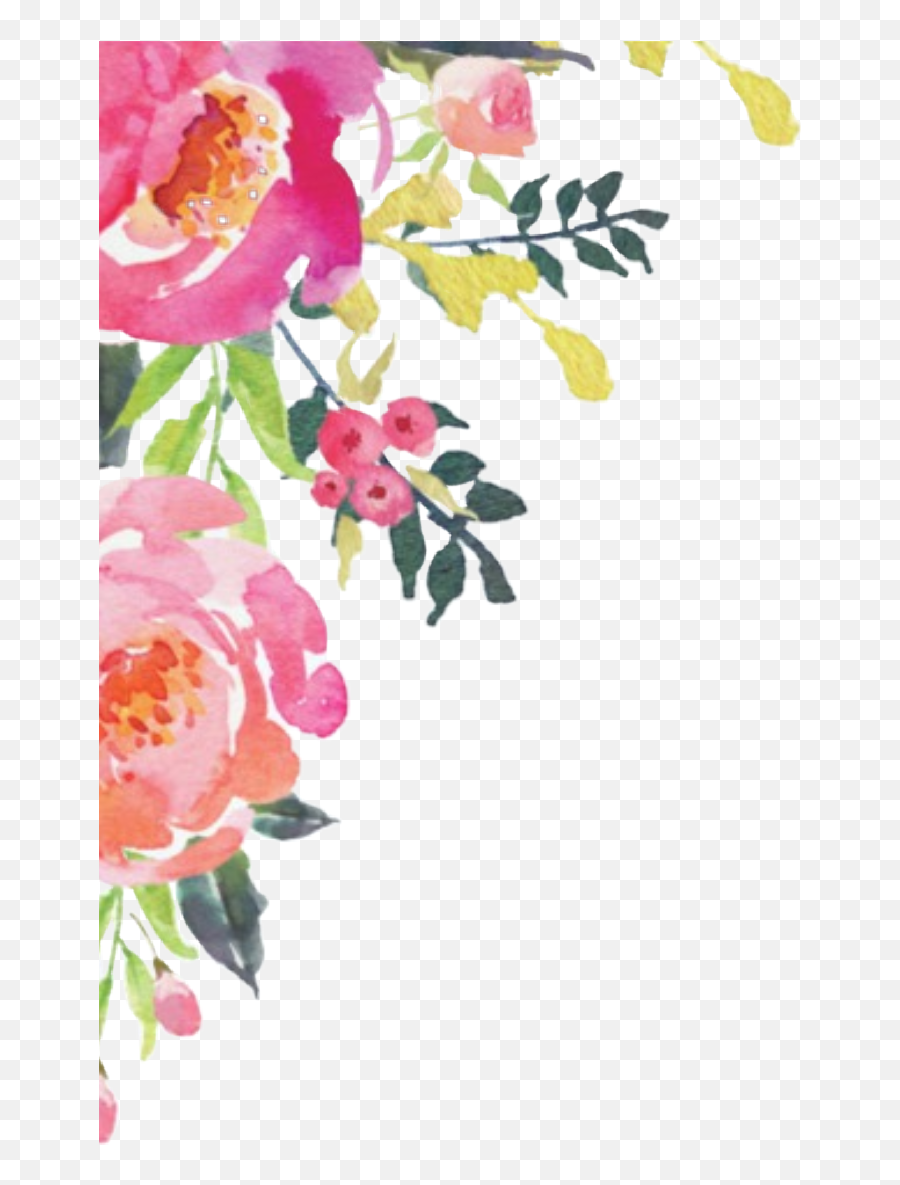 Wfcb50 Hd Free Wilting Flower Clipart Border Pack 4473 - Corner Watercolor Flowers Png Emoji,Wilted Rose Emoji