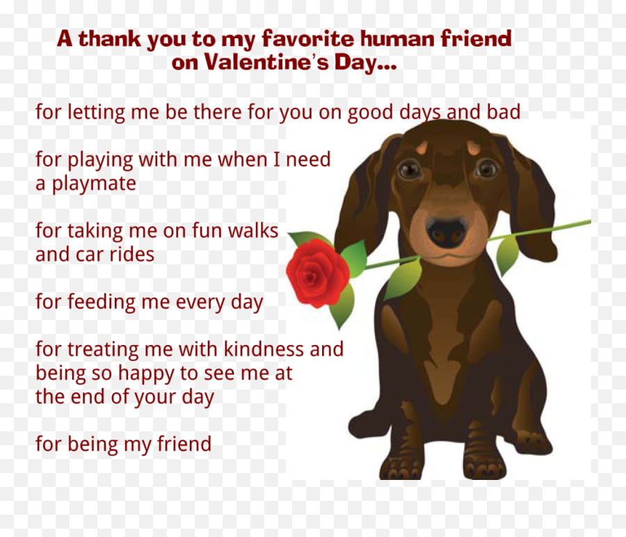 A Valentineu0027s Day Message From Your Pet Valentines Day - Dog Valentines Day Quotes Emoji,Coffee And Poodle Emoji