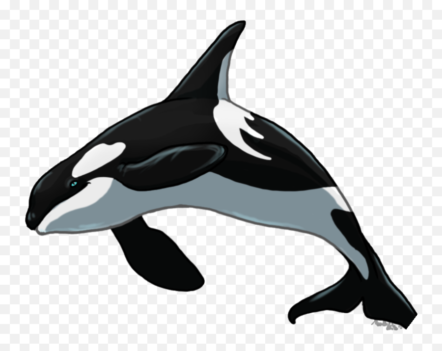 Orca Whale Killerwhale Sticker - Killer Whale Emoji,Orca Emoji