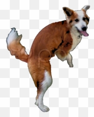 Dog Hump - Dog Catches Something Emoji,Humping Emoji