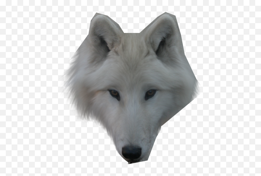 Werewolf Face Transparent Png Clipart - White Wolf Face Transparent Emoji,Wolf Face Emoji