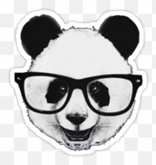 165 Best emoticons animal images Emoji stickers