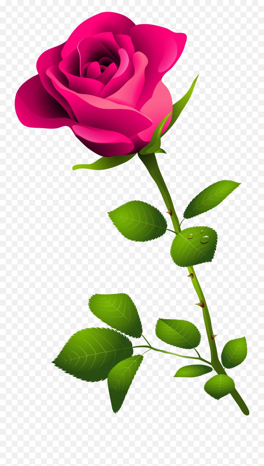 Pink Rose With Stem Png Clipart Image - Good Morning Beautiful Flower Wishes Emoji,Pink Rose Emoji