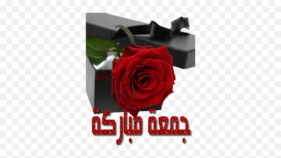 Rose Jumma Mubarak Flowers Emoji,Emoticoner