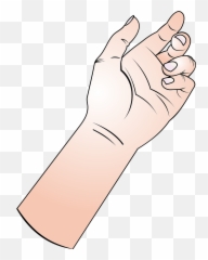 Hand Fingers Forearm Arm Thumb - Holding Something Cartoon Emoji