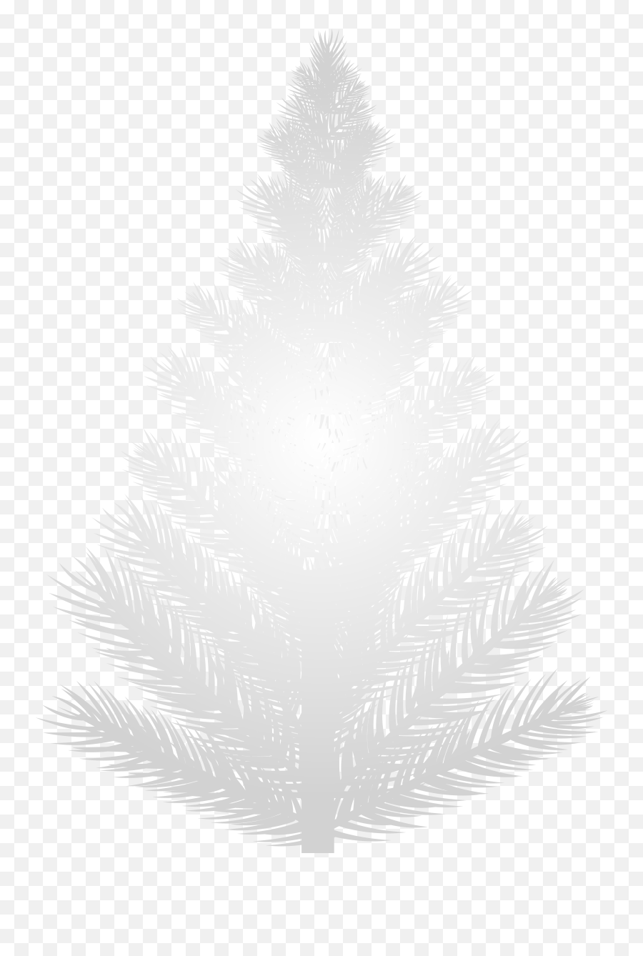 White Pine Tree White Silhouette Transparent Png Clipart Emoji,Pine Tree Emoji