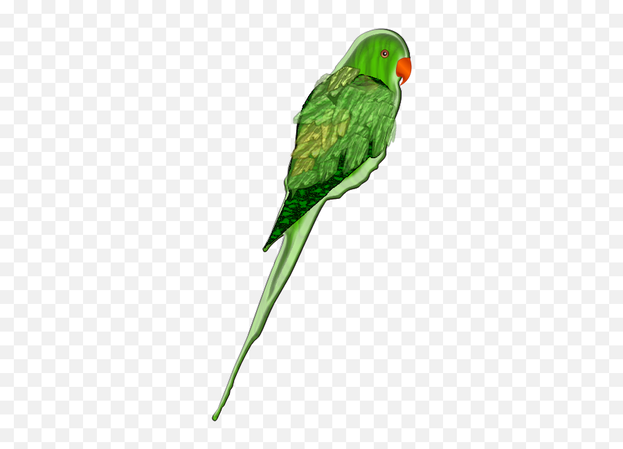 Parrot - Parakeet Emoji,Emoji Laying Down