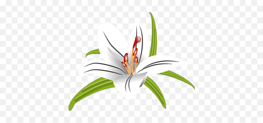 200 Free Pink Flower U0026 Flower Vectors - Pixabay Bunga Lily Vektor Putih Png Emoji,Blossom Emoji
