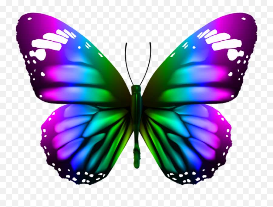 Download Butterfly Transparent Clipart Photo Top Png - Clip Art Transparent Butterfly Emoji,Blue Butterfly Emoji