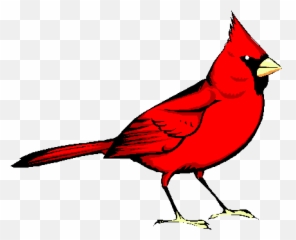 cardinal emoji for iphone