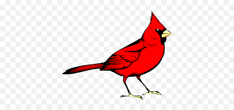 Cardinal Clipart Free - Red Cardinal Clipart Emoji,Cardinal Emoji