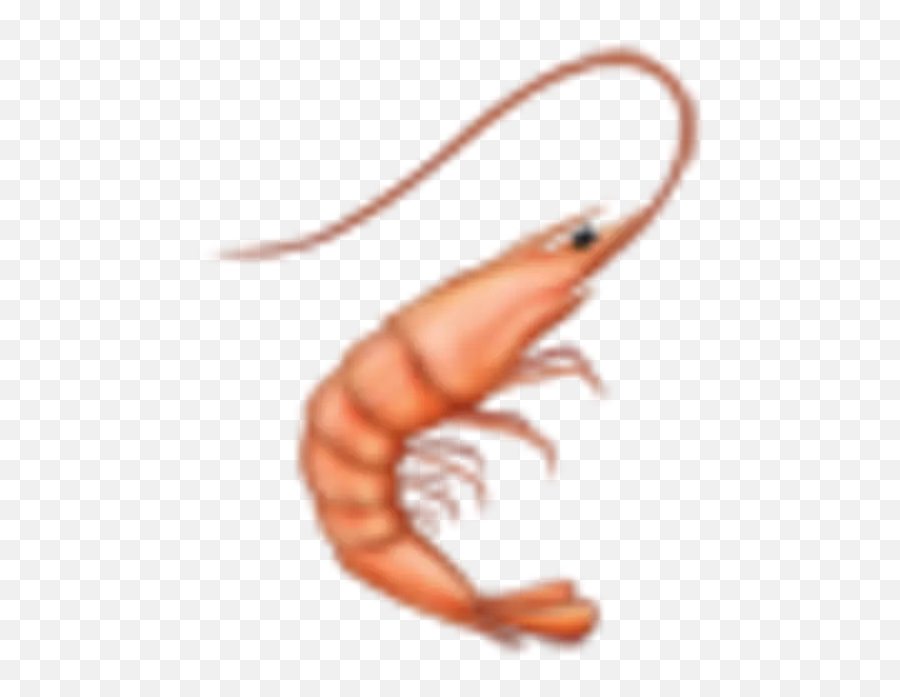 We Ranked All 77 Of The New Emoji - Emoji Camaron,Shrimp Emoji