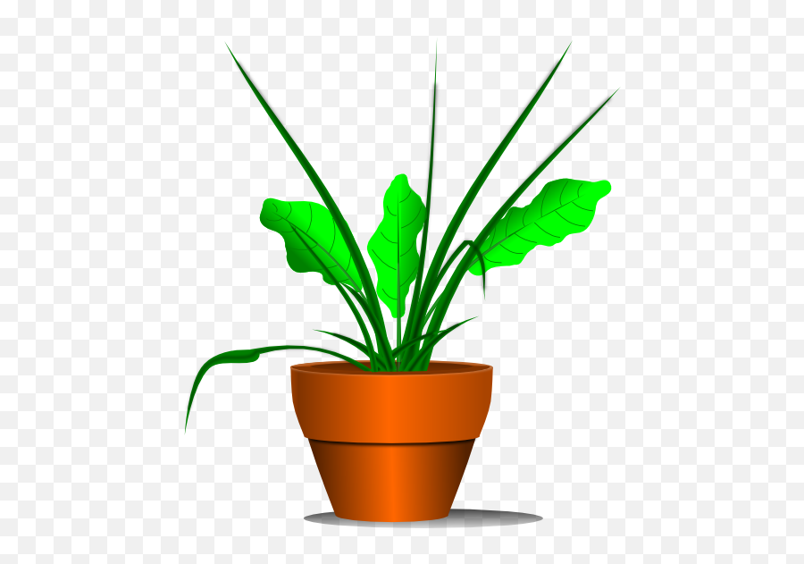 Plant Potted Plant Transparent Png - Free Plant Clipart Emoji,Potted Plant Emoji