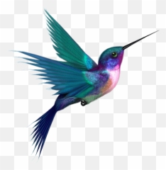 Birds Spring Tropical Animals - Hummingbird Png Emoji,Hummingbird Emoji