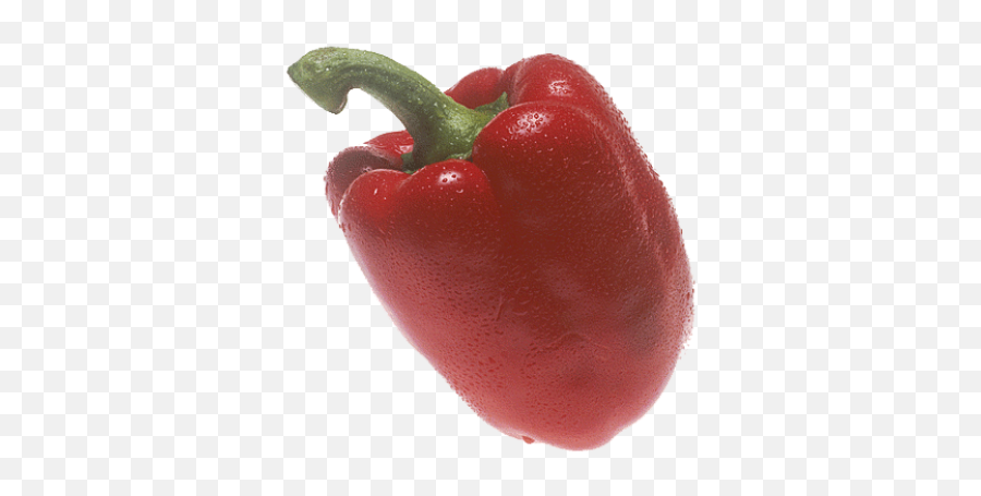 Pepper Png And Vectors For Free Download - Dlpngcom Red Bell Pepper Emoji,Hot Pepper Emoji